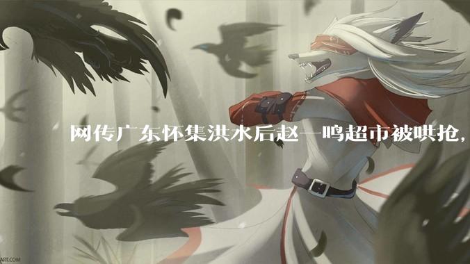网传广东怀集洪水后赵一鸣超市被哄抢，县***回应相关单位正在核实，若属实哄抢者该承担哪些法律责任？